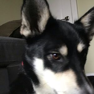 Meet your Posher, Jayne